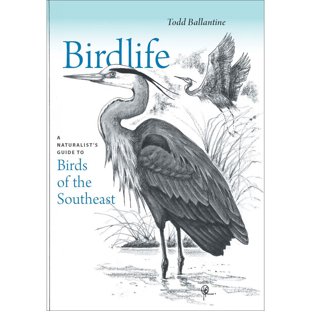 Birdlife: A Naturalist's Guide to Birds of the Southeast cover