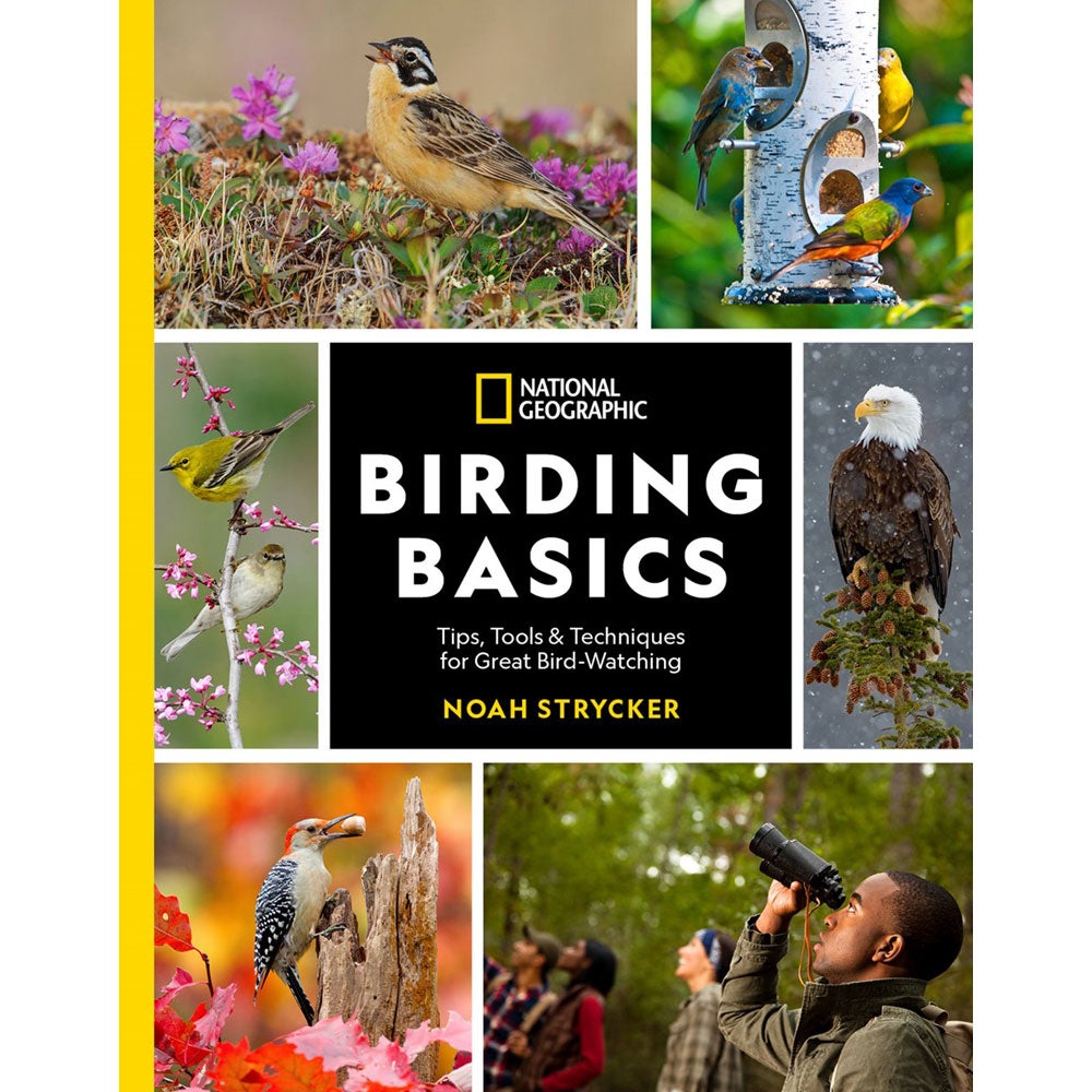 National Geographic Birding Basics: Tips, Tools, and Techniques for Great Bird-watching cover