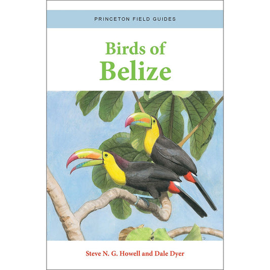 Book cover and/or sample page of Birds of Belize. Princeton Field Guides