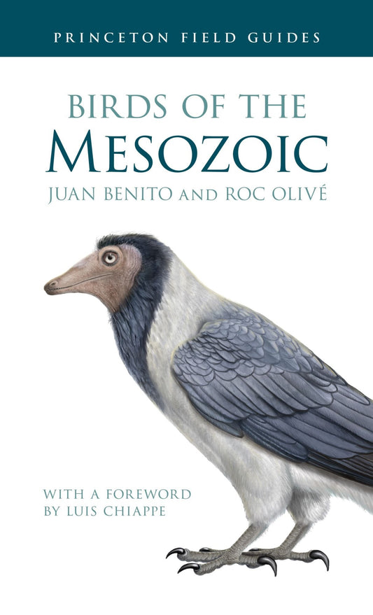 Book cover Birds of the Mesozoic: An Illustrated Field Guide