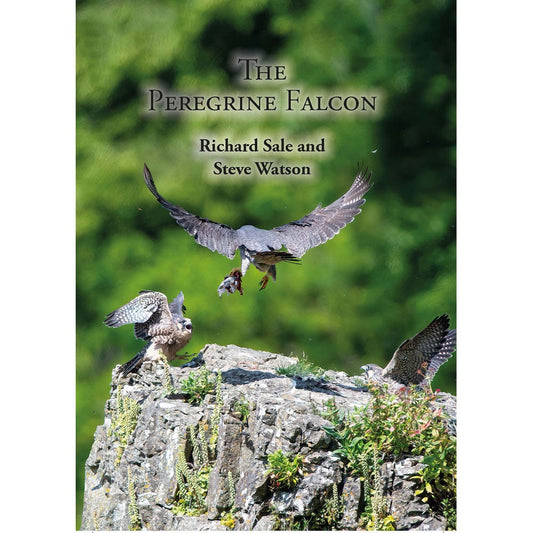 Book cover and/or sample page of The Peregrine Falcon