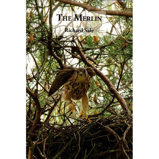 Book cover and/or sample page of The Merlin- Updated Edition