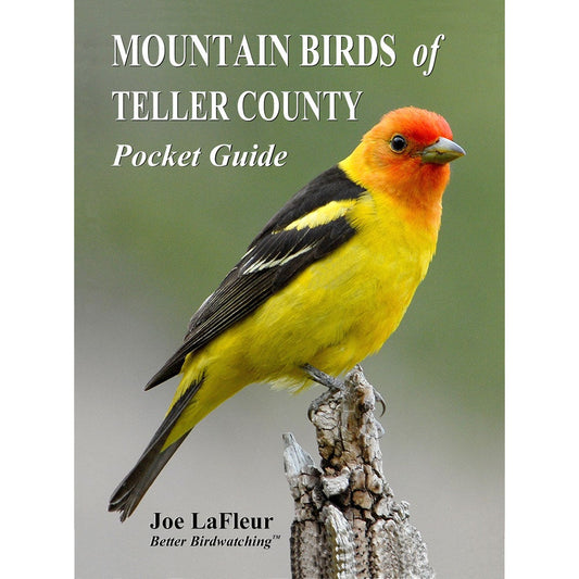 Mountain Birds of Teller County, Colorado. Pocket Guide cover