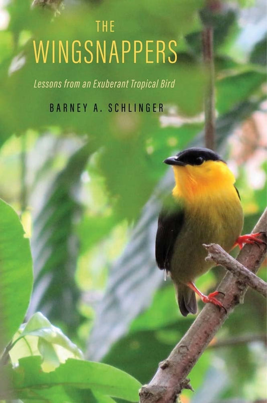 Book cover and/or sample page of The Wingsnappers: Lessons from an Exuberant Tropical Bird [damaged]