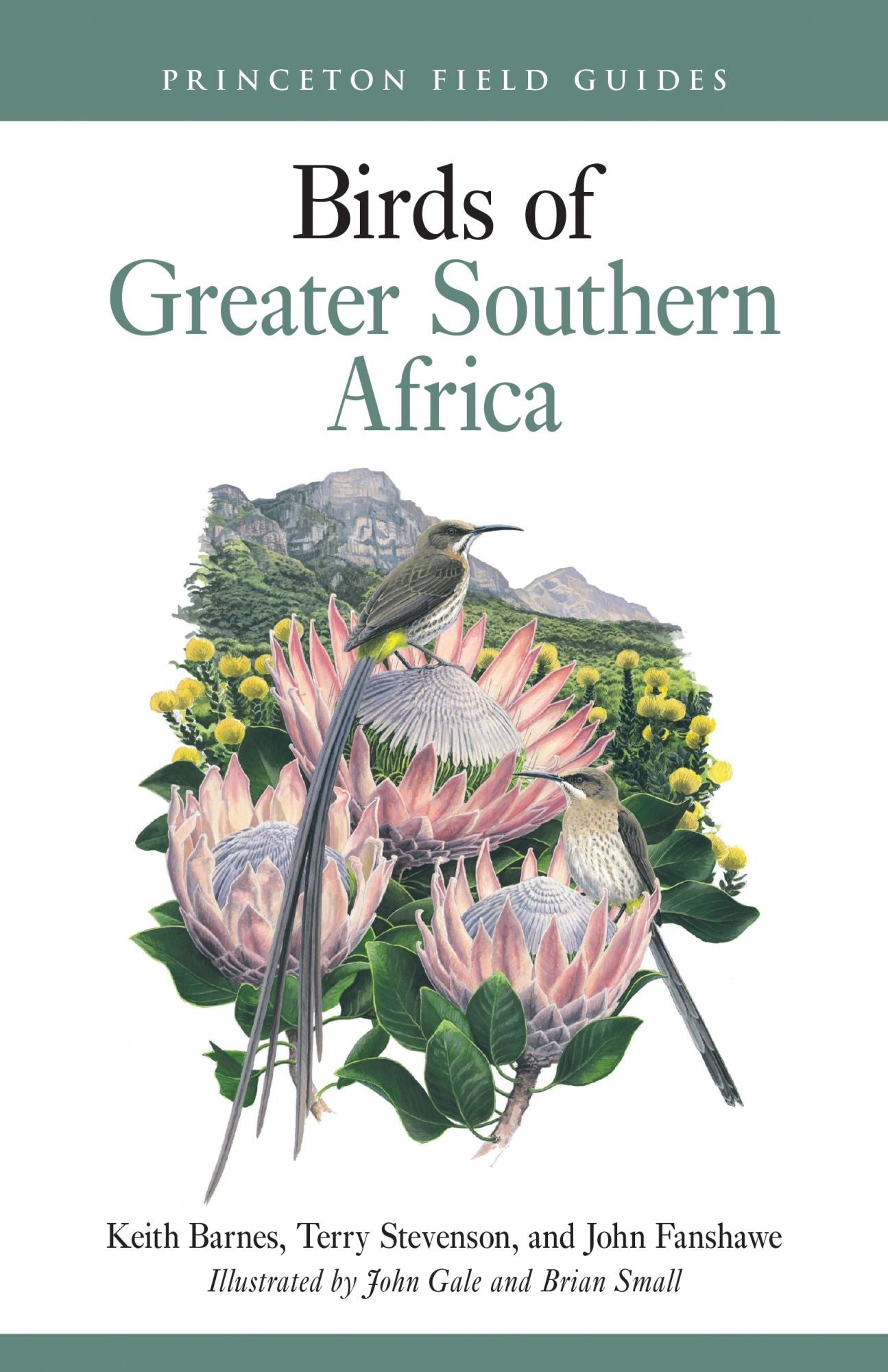 Birds of Greater Southern Africa [Not yet published] cover