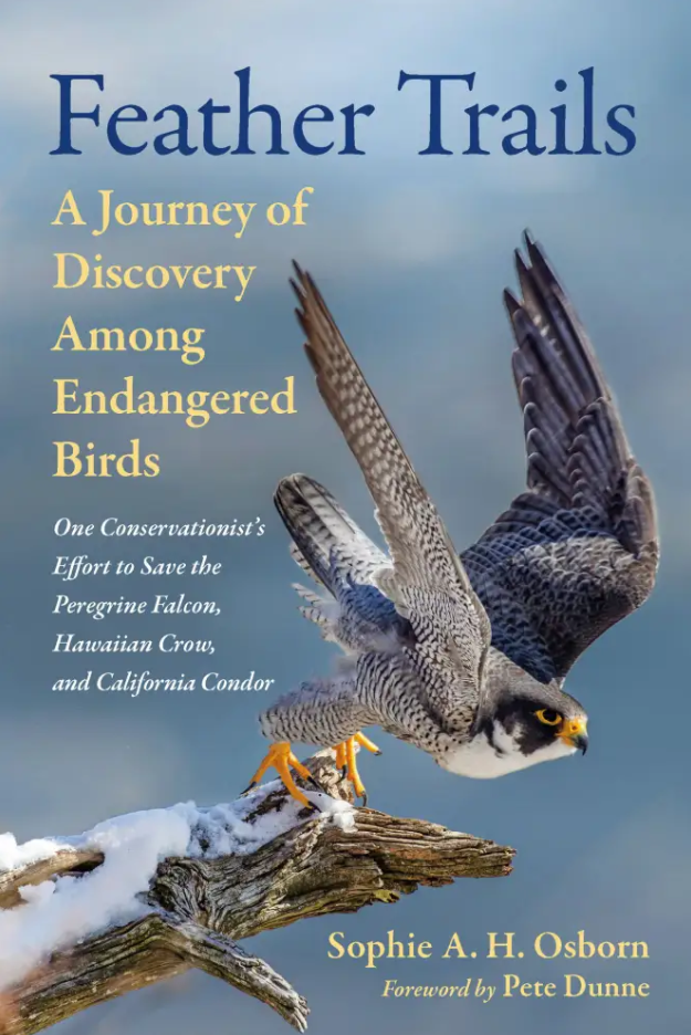Feather Trails: A Journey of Discovery Among Endangered Birds [damaged] book cover