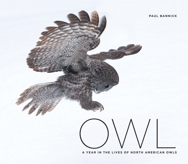 Book cover Owl: A Year in the Lives of North American Owls