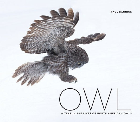 Book cover Owl: A Year in the Lives of North American Owls