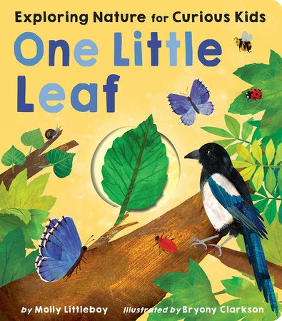 Book cover One Little Leaf: Exploring Nature for Curious Kids