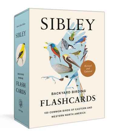Book cover Backyard Birding Flashcards: 100 Common Birds of Eastern and Western North America