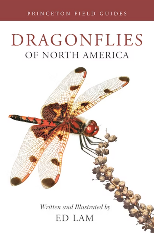 Book cover Dragonflies of North America