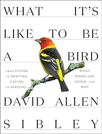Book cover What It's Like to Be a Bird: From Flying to Nesting, Eating to Singingâ€”What Birds Are Doing, and Why