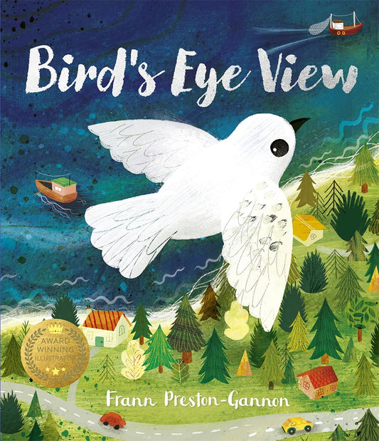Book cover Bird's Eye View
