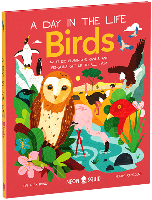 Book cover Birds (A Day in the Life)