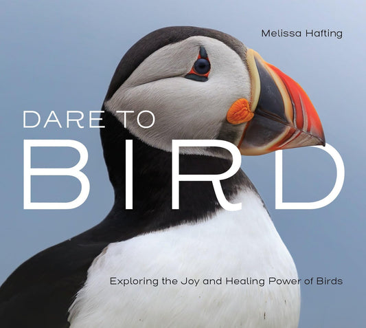 Book cover Dare to Bird: Exploring the Joy and Healing Power of Birds