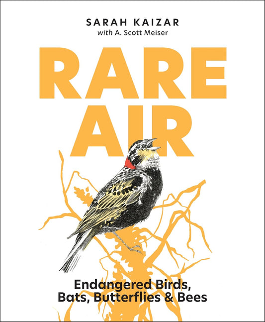Book cover Rare Air: Endangered Birds, Bats, Butterflies & Bees