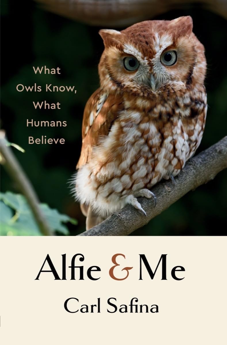 Book cover Alfie & Me: What Owls Know, What Humans Believe