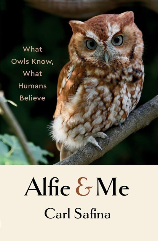 Book cover Alfie & Me: What Owls Know, What Humans Believe