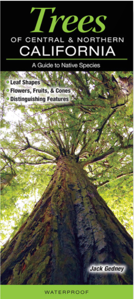 Book cover Trees of Central and Northern California
