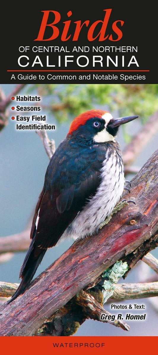 Book cover Birds of Central & Northern California