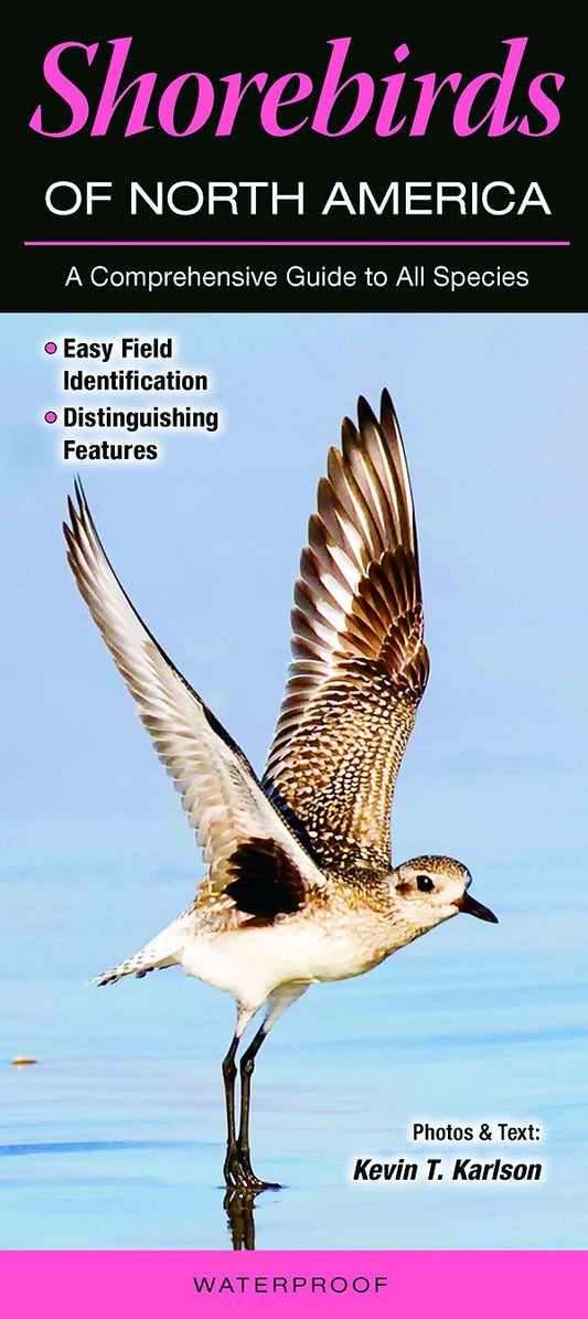 Book cover Shorebirds of North America