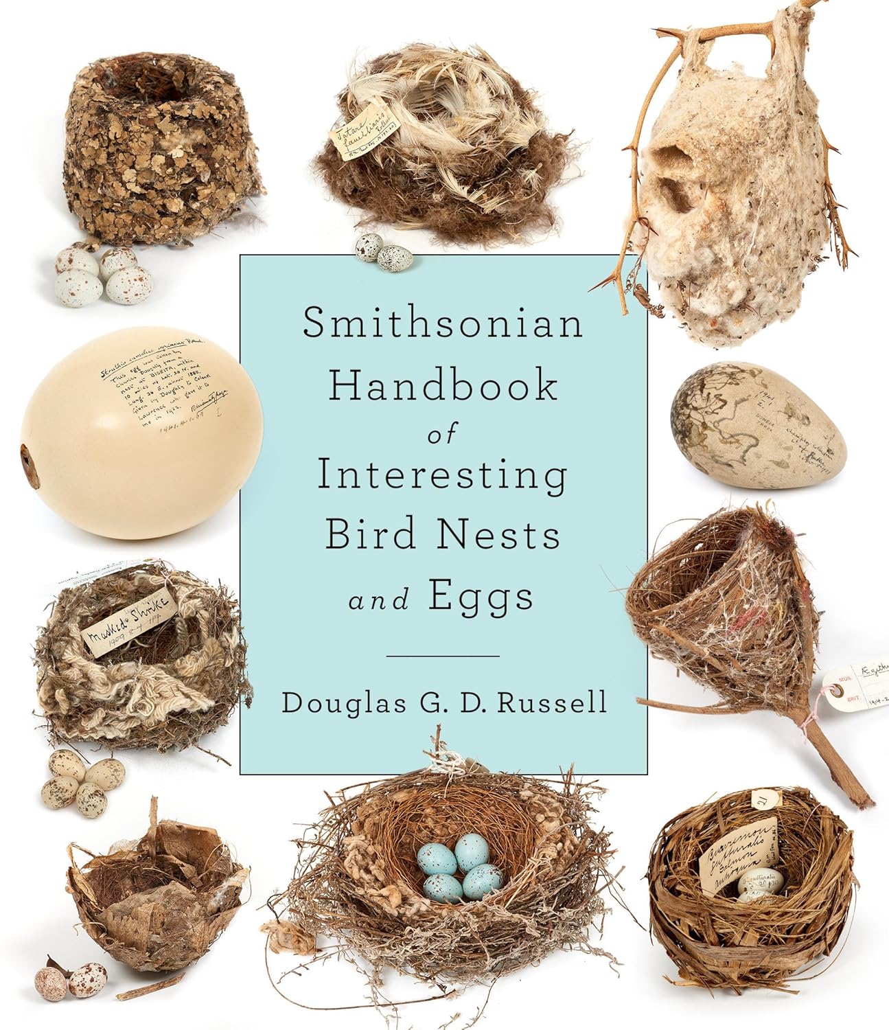 Book cover Smithsonian Handbook of Interesting Bird Nests and Eggs