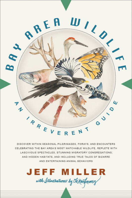 Book cover Bay Area Wildlife: An Irreverent Guide
