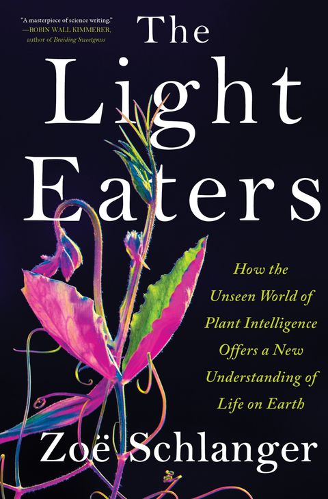 Book cover The Light Eaters: How the Unseen World of Plant Intelligence Offers a New Understanding of Life on Earth