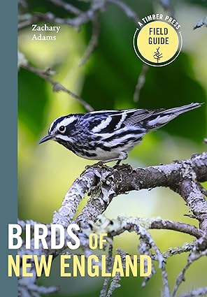Book cover Birds of New England [not yet published]