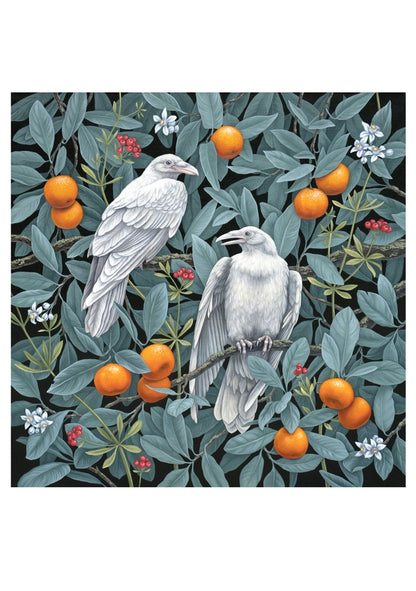 Notecard Set: Birds of a Feather