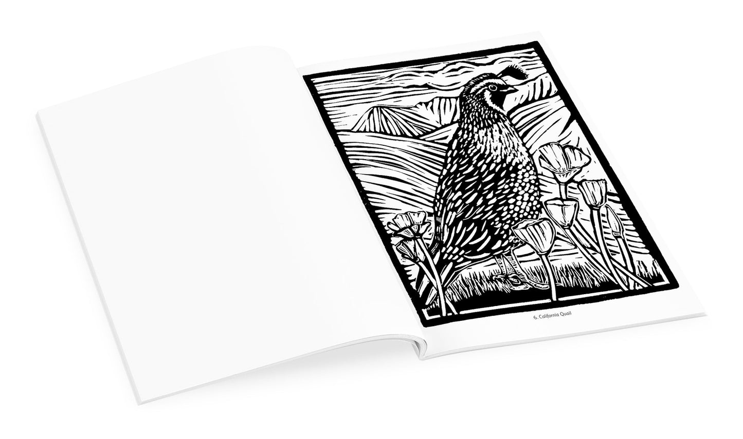 Molly Hashimoto's Birds Coloring Book