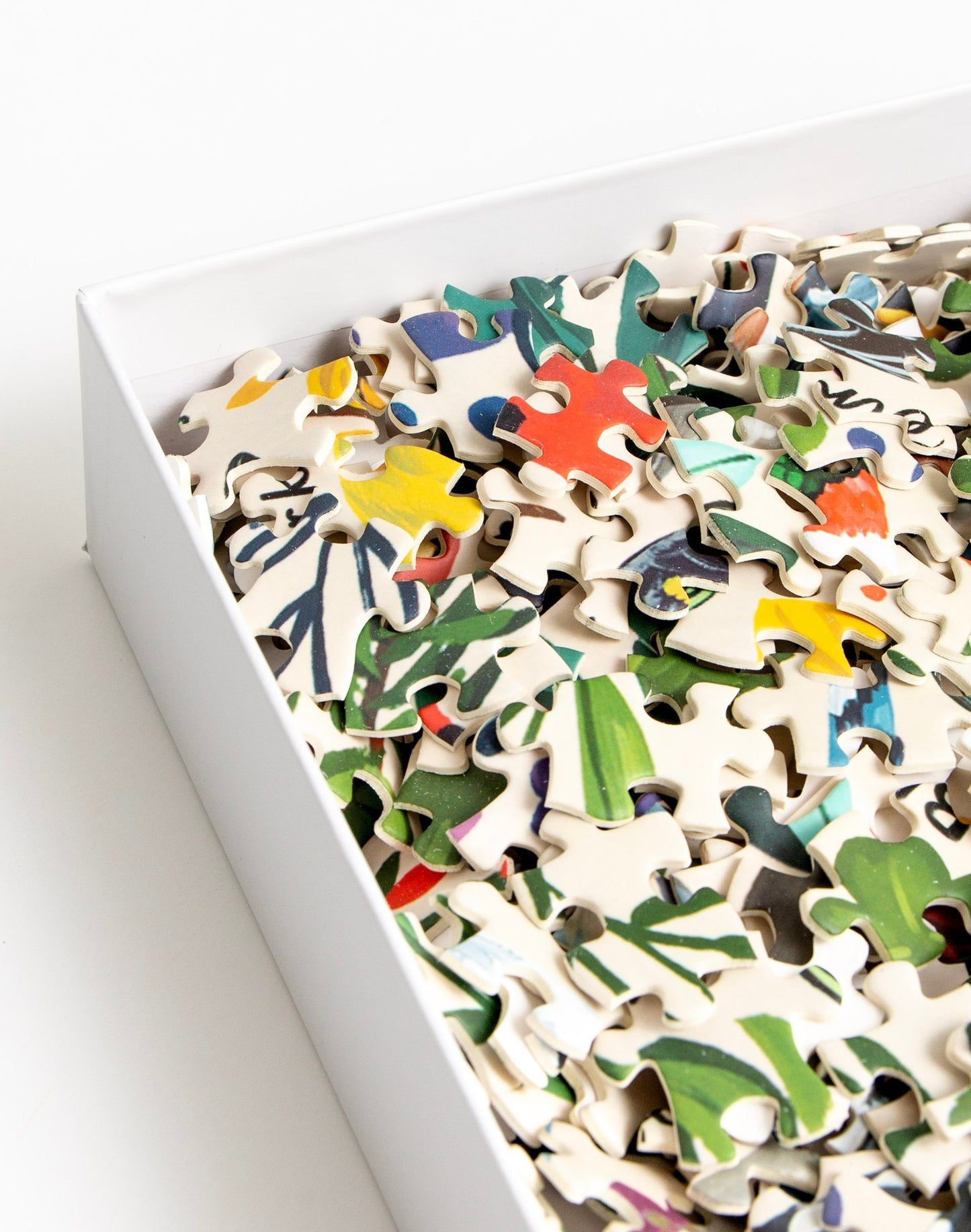 Puzzle: Feathered Friends
