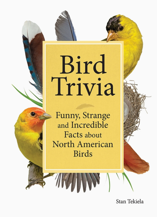 Book cover Bird Trivia: Funny, Strange and Incredible Facts about North American Birds