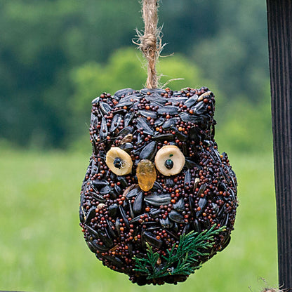 Birdseed Owl