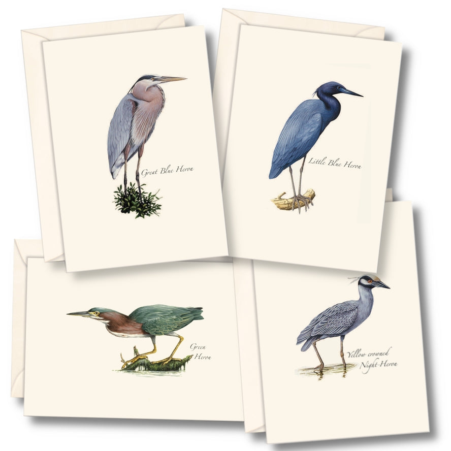 Notecard Set: Heron Assortment