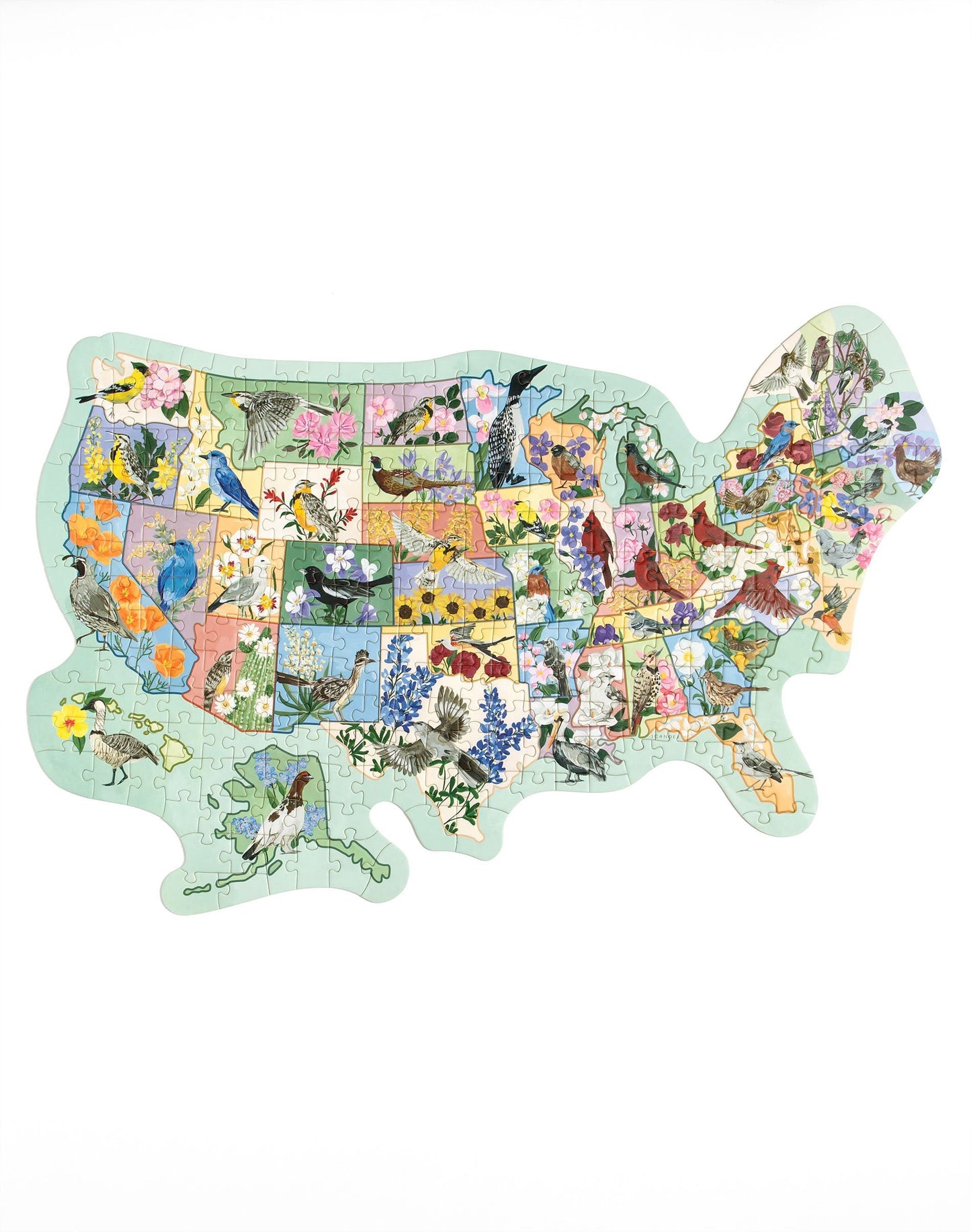 Puzzle: Birds and Blooms Across America