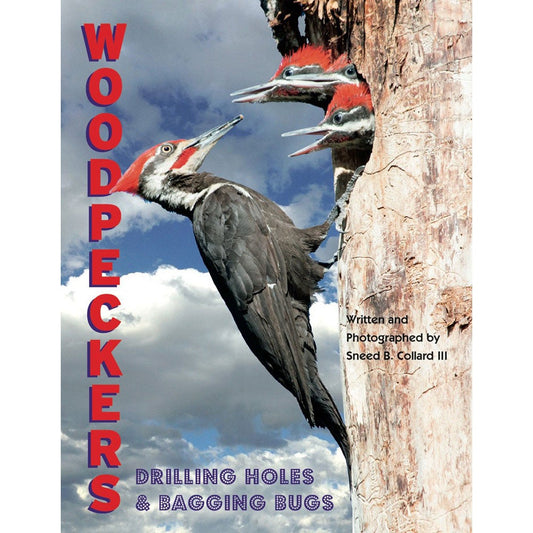 Book cover and/or sample page of Woodpeckers: Drilling Holes and Bagging Bugs
