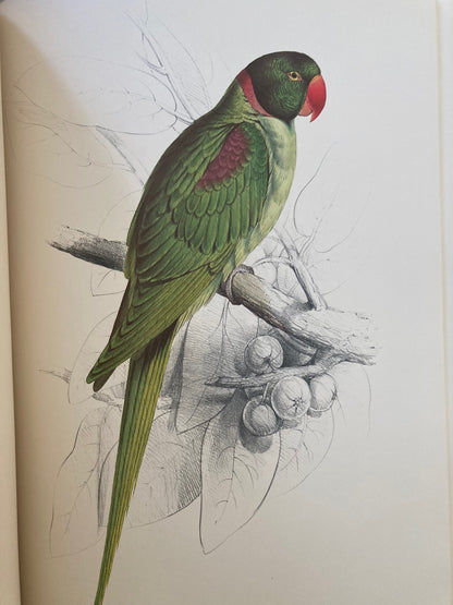 Illustrations of the Family of Psittacidae, or Parrots