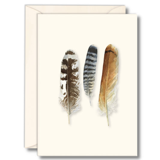 Notecard Set: Raptor Feathers