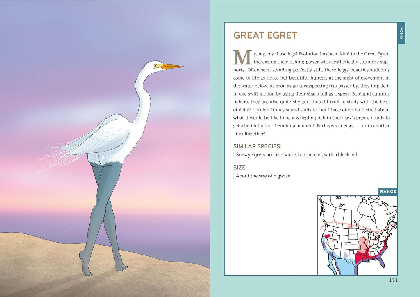 Pre-Order: Extremely Accurate Birds: An Anatomically Precise Field Guide to Common Backyard Birds of North America