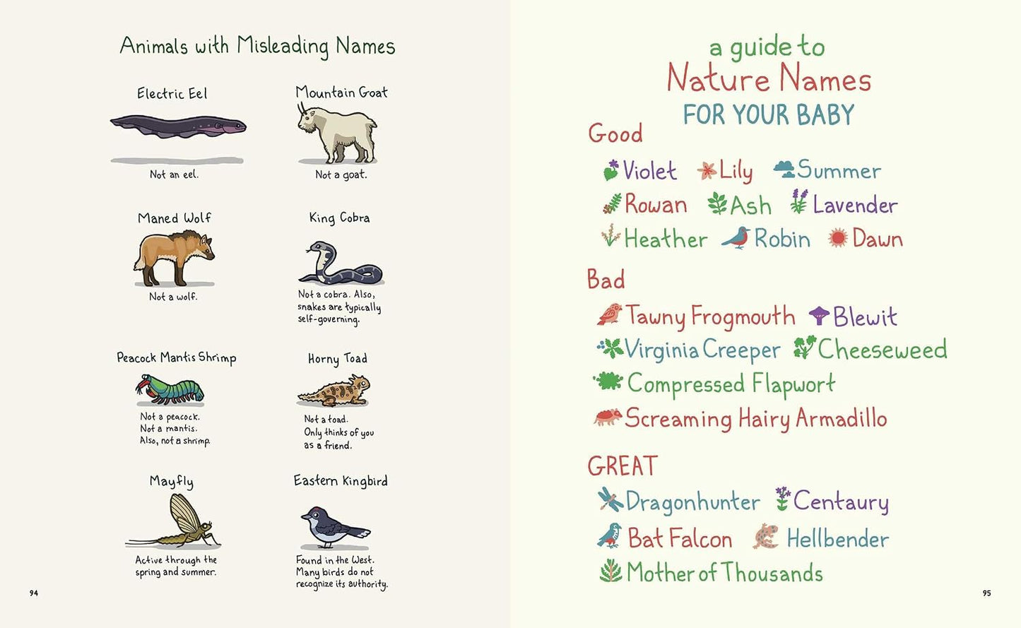 Birding Is My Favorite Video Game: Cartoons about the Natural World from Bird and Moon (Updated Edition)