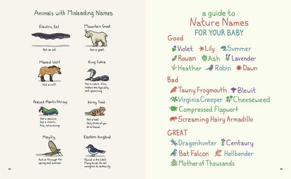 Birding Is My Favorite Video Game: Cartoons about the Natural World from Bird and Moon (Updated Edition)