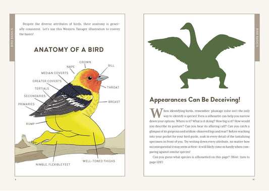 Pre-Order: Extremely Accurate Birds: An Anatomically Precise Field Guide to Common Backyard Birds of North America
