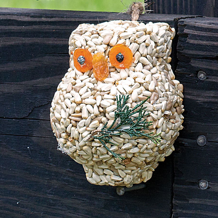 Birdseed Owl