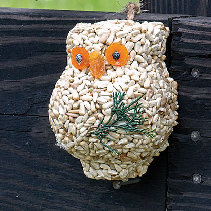 Birdseed Owl