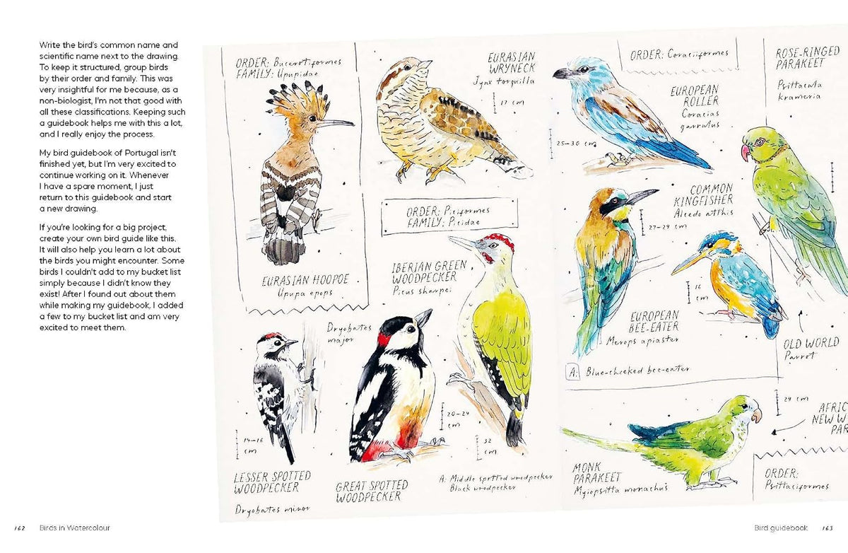 Birds in Watercolour: A Beginner's Guide to Drawing and Painting Birds