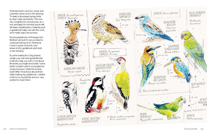 Birds in Watercolour: A Beginner's Guide to Drawing and Painting Birds