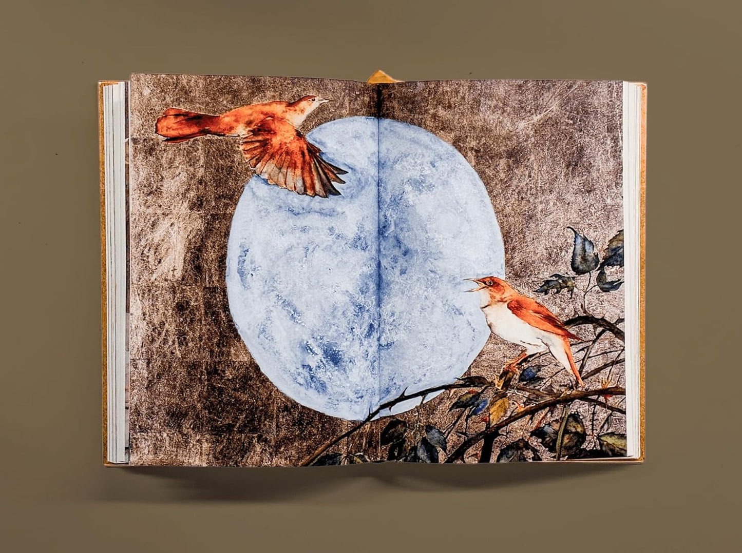 The Book of Birds: A Field Guide to Wonder and Loss