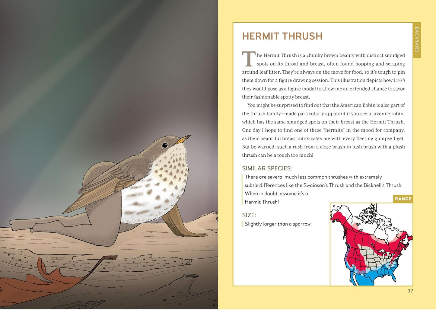 Pre-Order: Extremely Accurate Birds: An Anatomically Precise Field Guide to Common Backyard Birds of North America