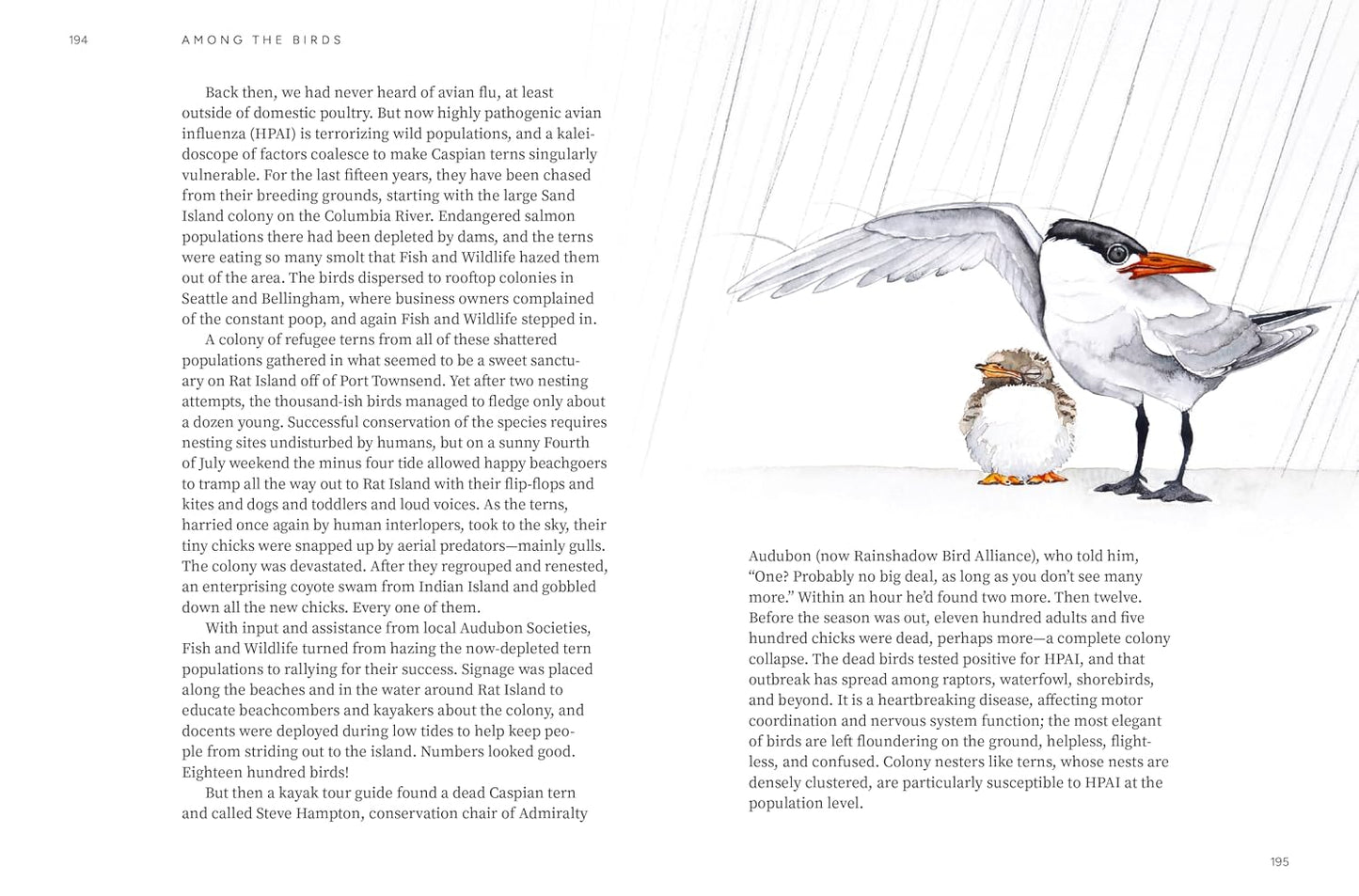 Among the Birds: Field Notes from Cascadia